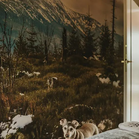 Osada Mosorny Gron - *